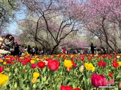 清明假期北京60个重点商圈入账65.3亿元